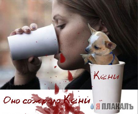 Фотожаба: Девушка и стакан