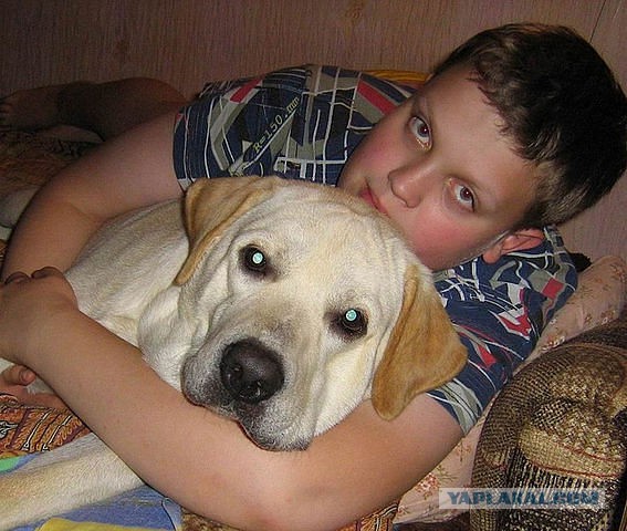 Собакочетверг! Собачки любимые!