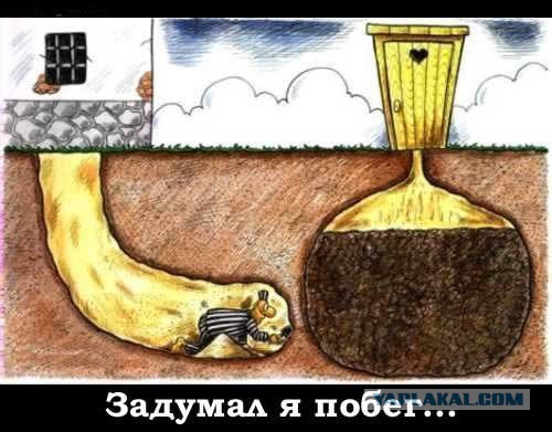 Всякое-разное из сети