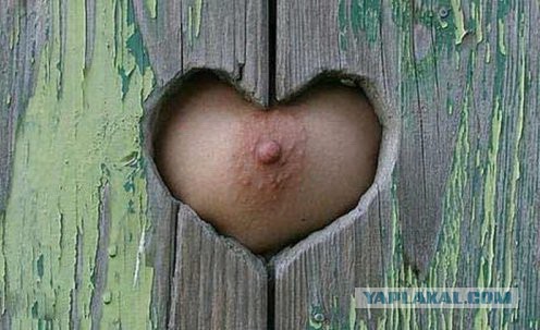 Подборка интересных и веселых картинок