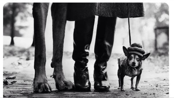 Интересные и веселые картинки