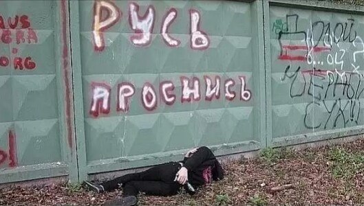 Ужасы и приколы из соцсетей 18+