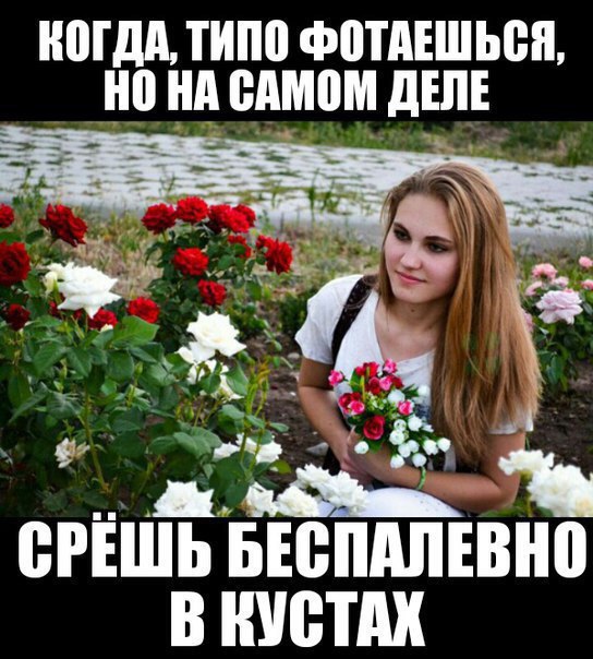 Подборка интересных и смешных картинок