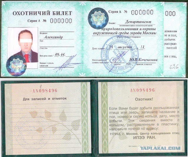 Можно Ли Купить Гильзы Без Охотничьего Билета