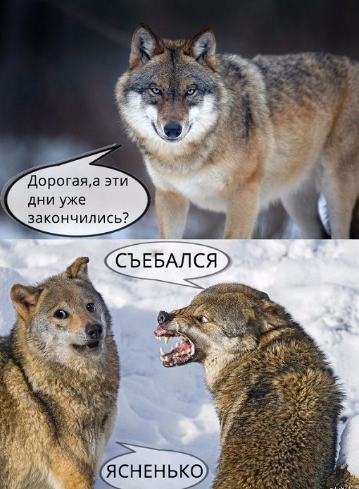 Картинка вместо тысячи слов..