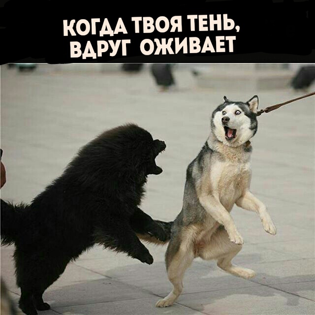 Подборка интересных и веселых картинок