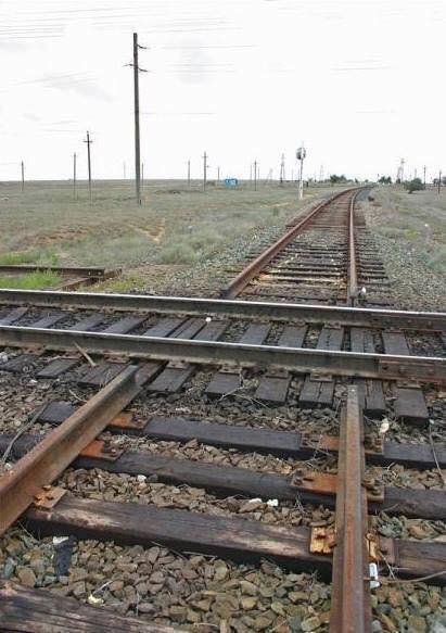 Подборка забавных, занятных, порой курьезных фотографий из Сети.