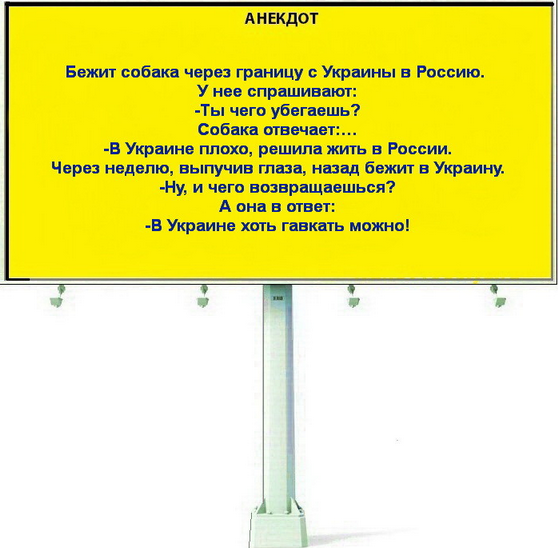 Отлов собак. Спасающие наши жизни