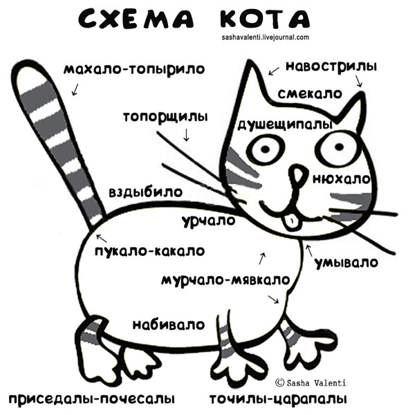 Итоги проверки пользователей