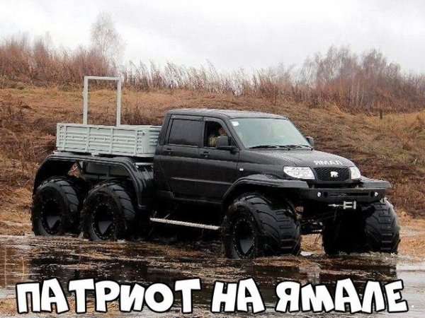 Прикольные картинки обо всем