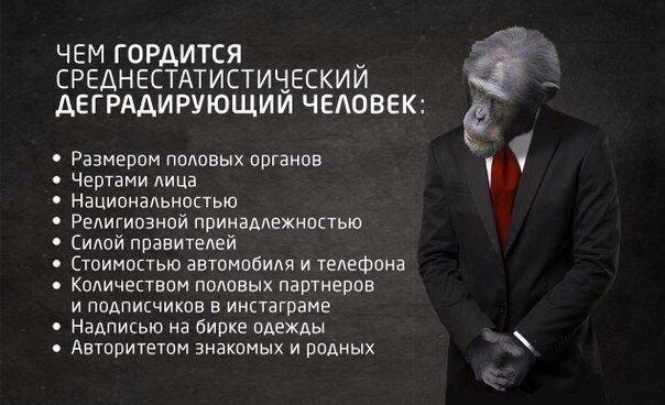 Наглядно: вот так выглядит концентрация зависти