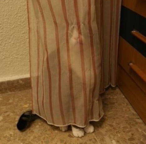 Немного милоты