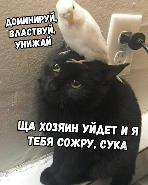 Бредзона 11.12.19