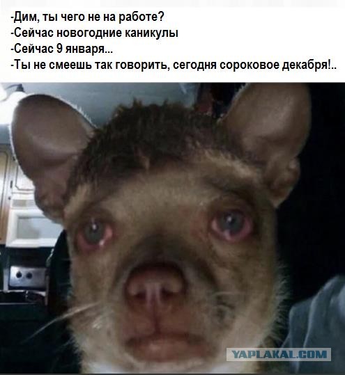 Бредзона 18.12.2019