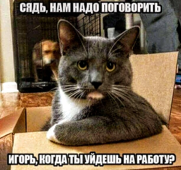 Немного картинок для настроения 30.03.20