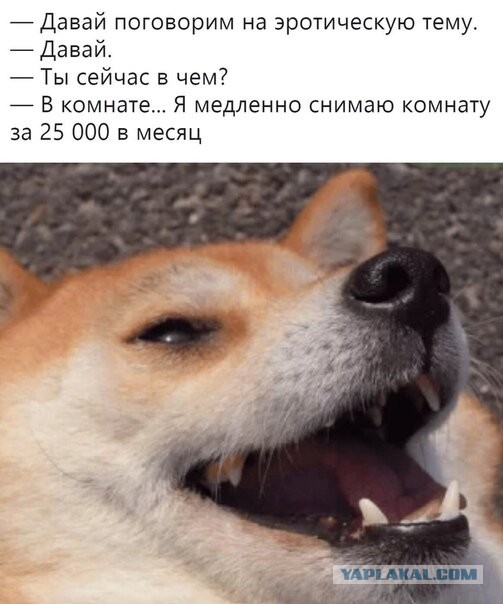 Бредзона 07.04.2020