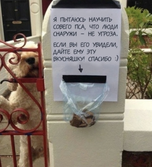 Зверушки