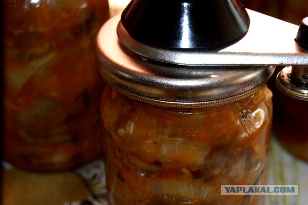 Осень в банках