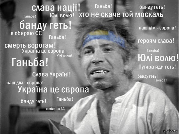 Все по полочкам разложил
