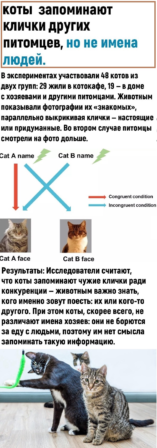 Картинки с надписями и всякие жизненные фразы