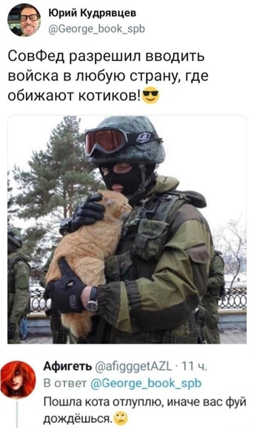 Мейнкун перебежчик, больше не кiт