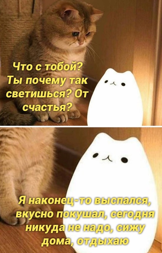 Картинки и мемы для настроения - 21