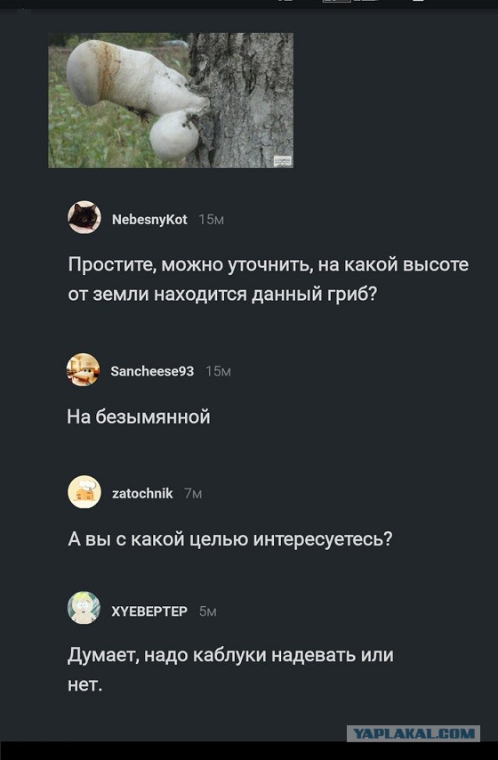 Пятница. И немного слегка пошлых картинок с надписями и без 16+ (25.11)