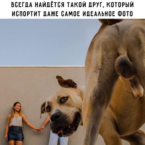 Картинки и мемы для настроения - 015