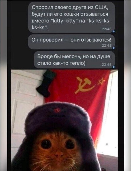 Картинки и мемы, всем хороших выходных
