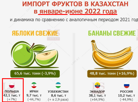В Польше заявили о крахе рынка яблок из-за запрета на экспорт в Россию