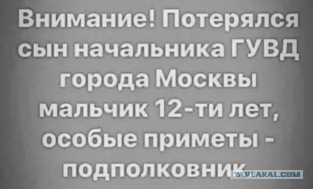 Фарш из баянов