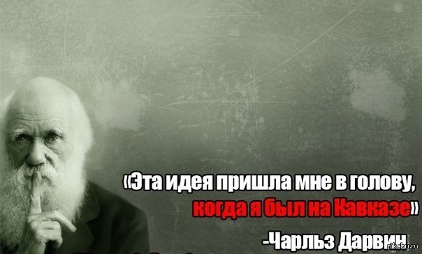 В Краснодарском крае трое мужчин упали с гидроцикла и утонули. Они лихачили без спасательных жилетов