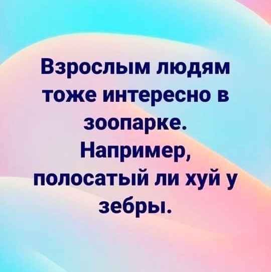 Баяны с распродажи