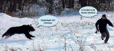 В Румынии медведь растерзал итальянского туриста после селфи с ним