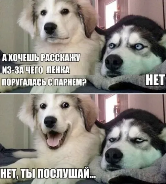 Надписи, объявления и прочая дичь