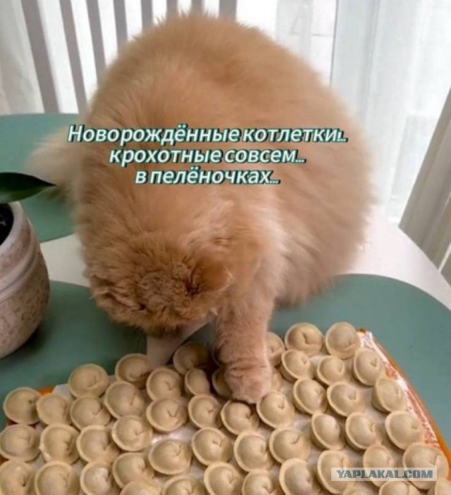 Небаянистая деградация 8