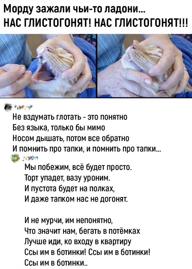 Истинный фанат группы t.A.T.u. Концерт 24-25.10.2025
