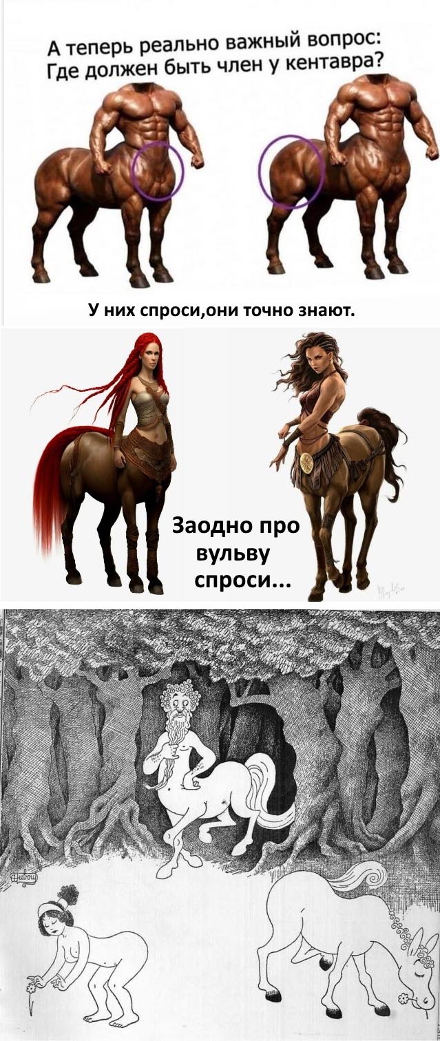 Картинки для деградации 144 (разной степени свежести)