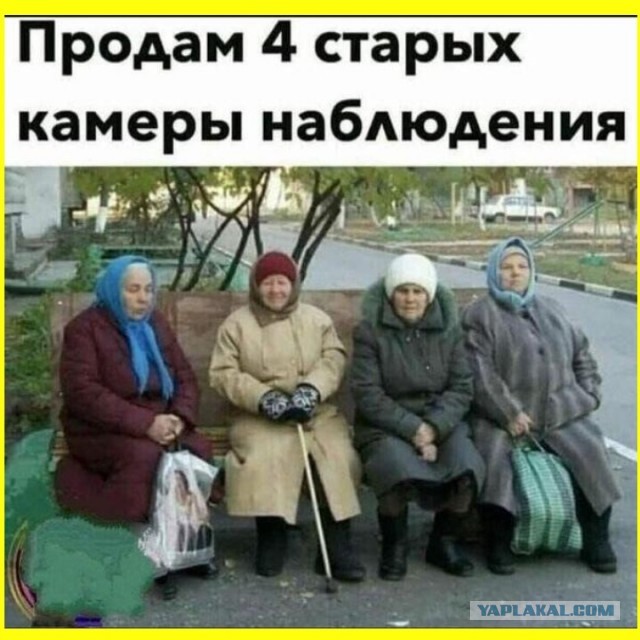 В Туле бабушка в сильный снегопад расчистила лавочку и спокойно сидит, словно ничего не произошло