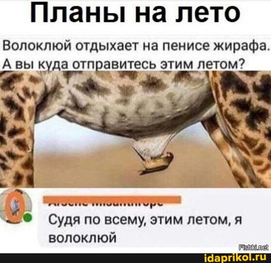 А куда в этом году в отпуск?