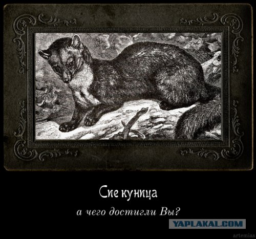 Демотиваторы. ХIX векъ.