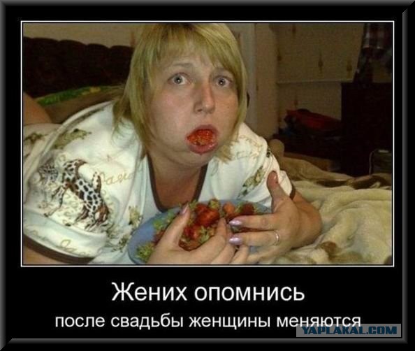 Демотиваторы.
