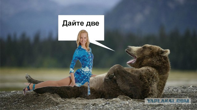 Новый мидвет!