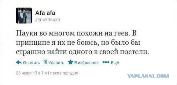 "Комментарии из соцсетей" от 12.10.2014