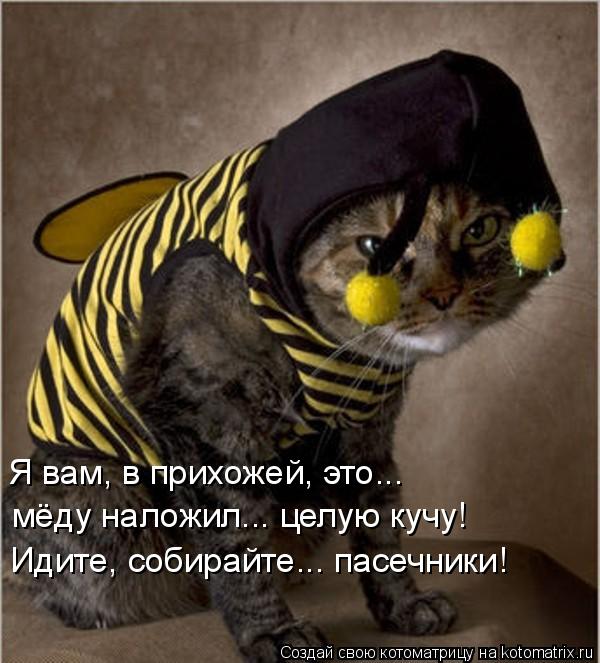 Подборка демотиваторов