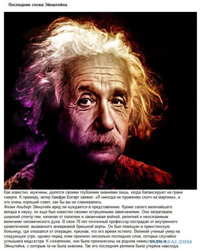 20 фактов обо всем
