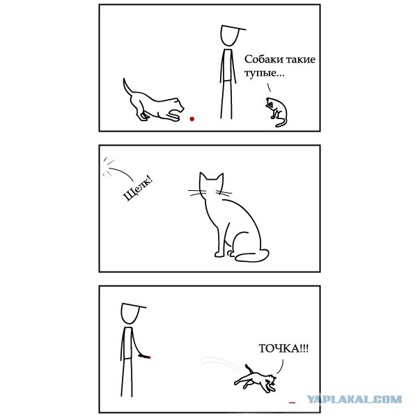 Кошки такие кошки