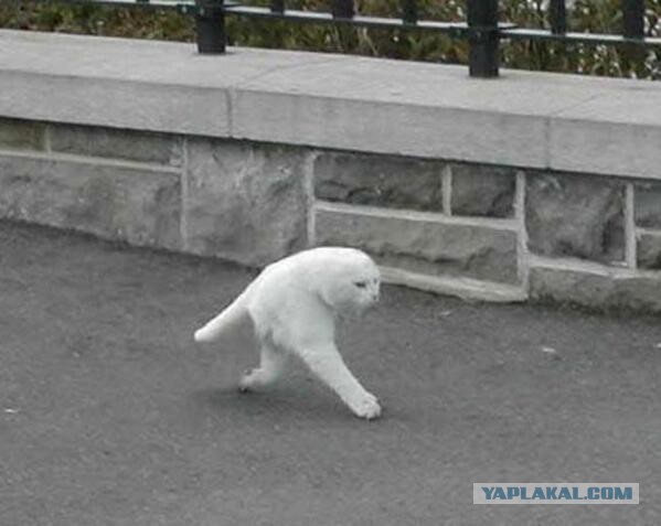 Подслушано