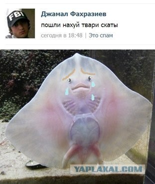 Загадочный предмет