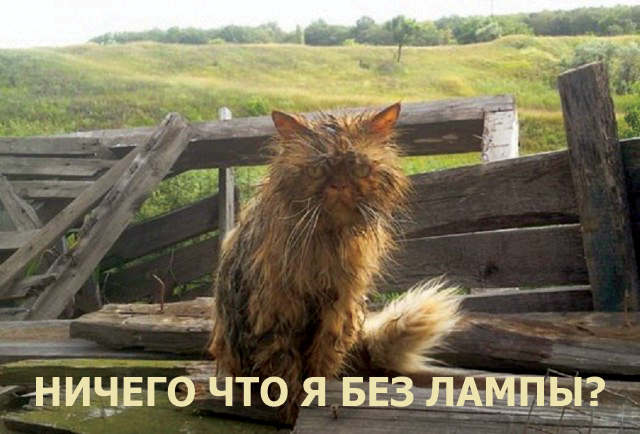 "Фотки из девяностых", говорите?